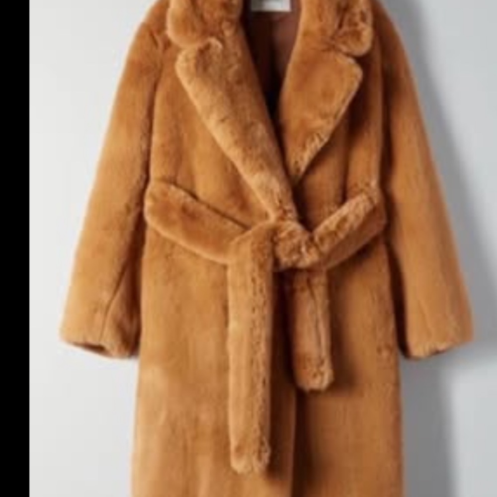 Aritzia Babaton luxurious teddy coat. Feels so real.  Never worn.